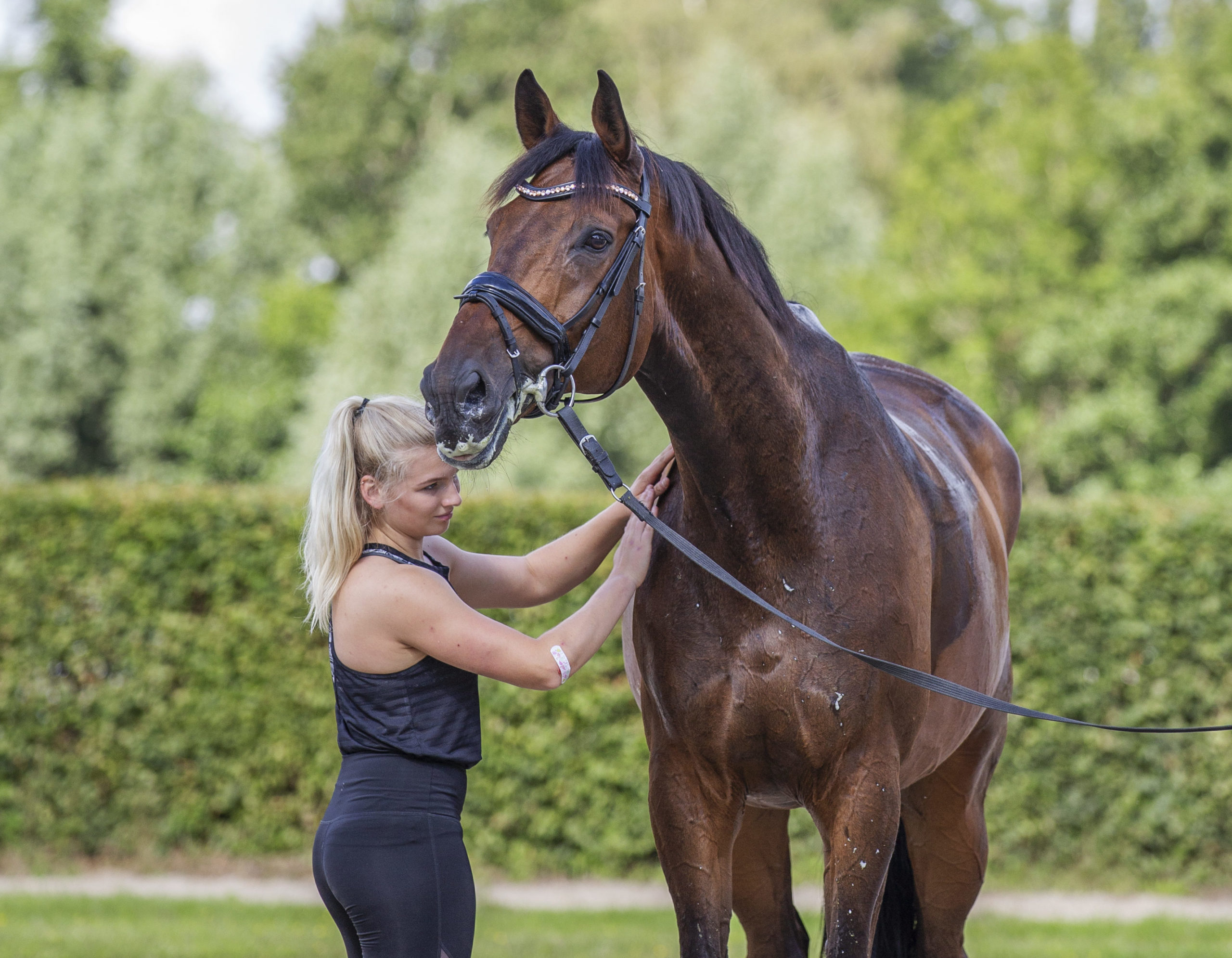 OnlineLehrgangsSerie in 3 Teilen
