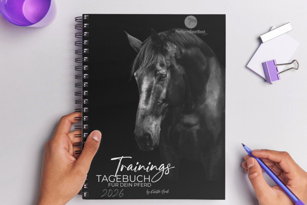 Trainingstagebuch (Pferd)